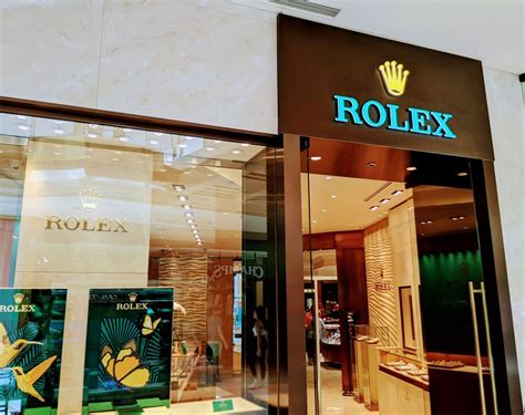 rolex store tampa fl